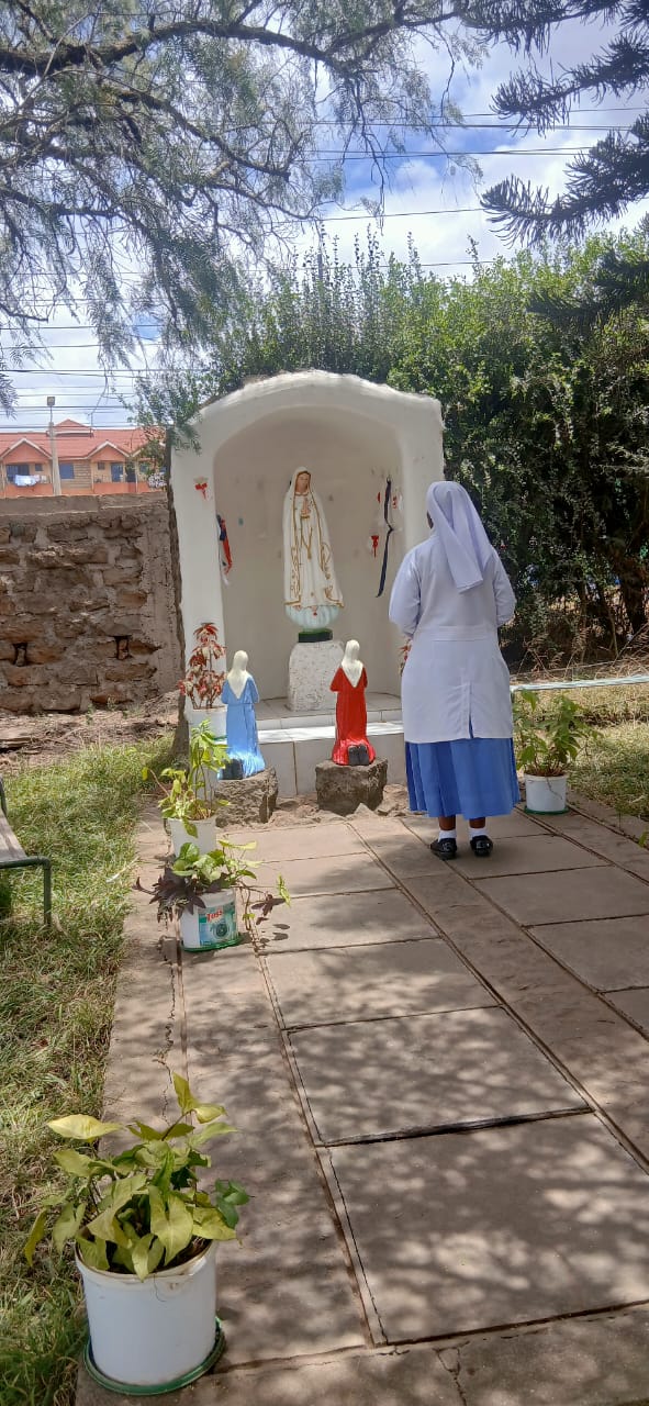 Fatima Hospital Historic Building